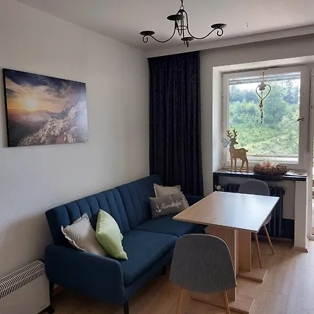 Haus Waldruh Andreasberg *